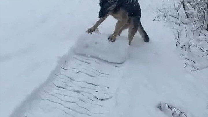 各式各样的滚雪球，真好玩~