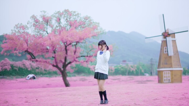 【Chew Chew】┗|∵|┓Then let’s fall in love