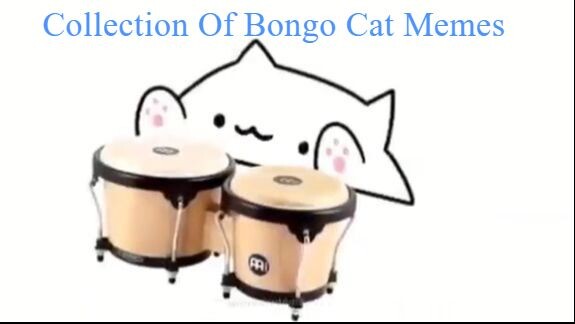A Collection of Bongo Cat Memes