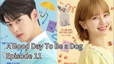 A Good Day To Be a Dog | Episode 11 | EngSub
