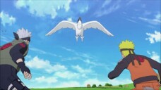 Naruto Shippuden Episode 25