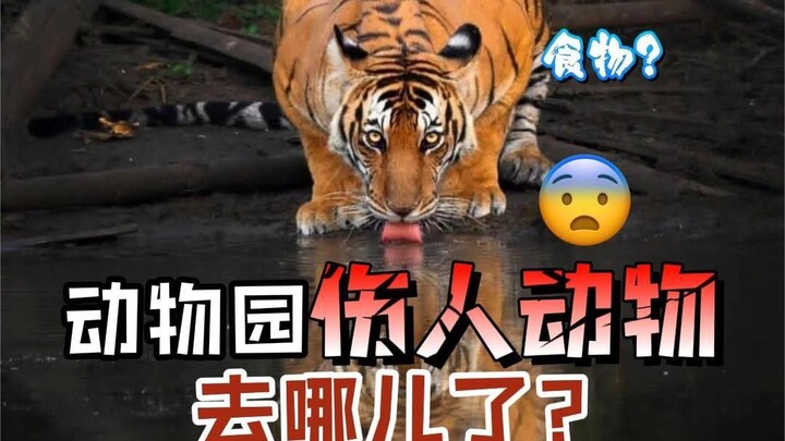 Where do harmful animals end up in the end?