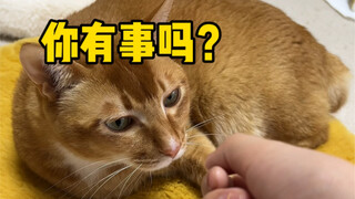 “Kita sudah berjanji tidak akan berpisah, akan terus bersama selamanya”