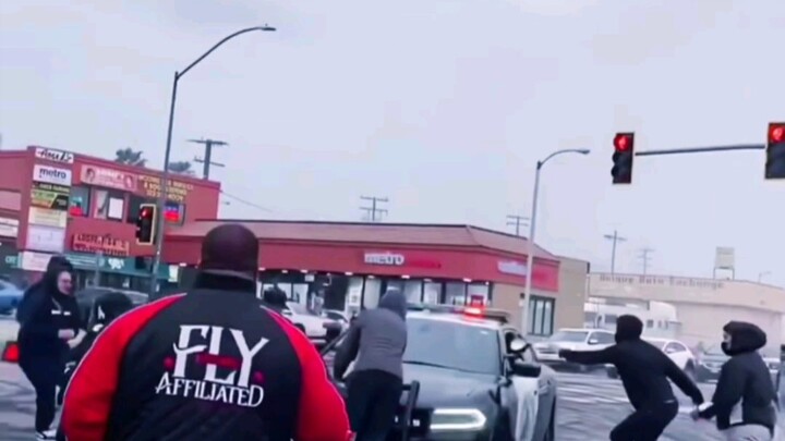 On the streets of Los Angeles, you can see just about anything.