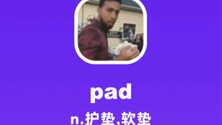 pad：护垫，软垫