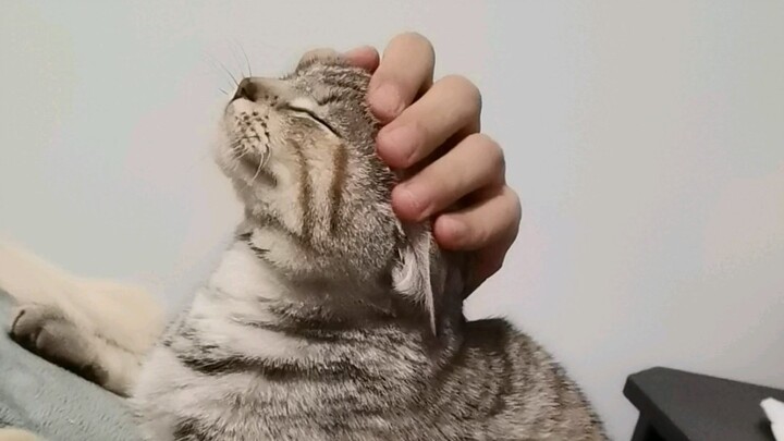 Daughter's Dad-Clinging Act