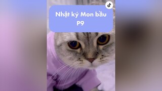 Phép thuật win hả 🤣🤣🤣 nhacona meow #cat mèo trending fypシ