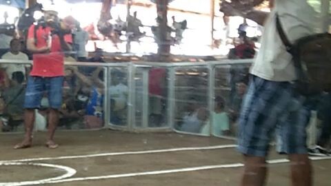 1st WIN Lemonsito lines