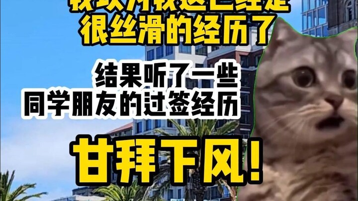 【Meme kucing】Berbagi beberapa pengalaman aneh calon mahasiswa AS dalam melewati proses visa