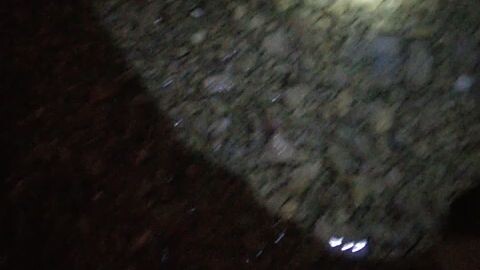 nag Ikaw ako ng mga isda
