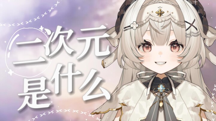 二次元是什么...？