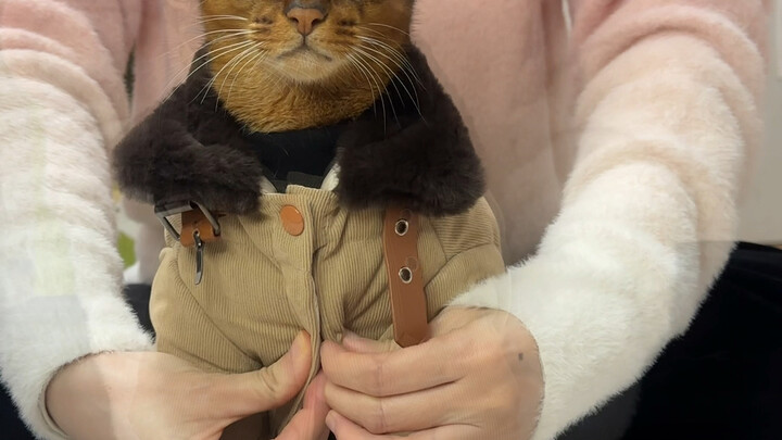 Phong cách “lão tiền” cũng chinh phục được dễ dàng! Chỉ cần mặc bộ này là đủ để đón giao thừa!