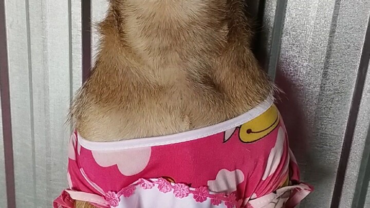 cho ngồi 😆😆😆