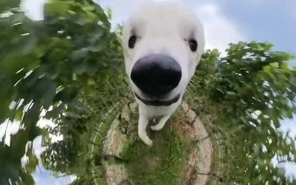 Mở lên là xem ngay! Yeye dẫn bạn đi dạo nè! Cứ xem mãi thế này tự nhiên thấy vui quá! Chắc đây chính