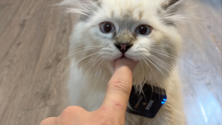 ماذا يفعل الطلاب الدوليون في يوم صيفي؟