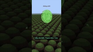 Minecraft Bất Ổn Nhưng Mọi Thứ Biến Thành Hình Tròn - Tập 2 🤣 #shorts