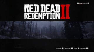 Red Dead Redemption 2 Benchmark i7-8700K GTX 1070ti