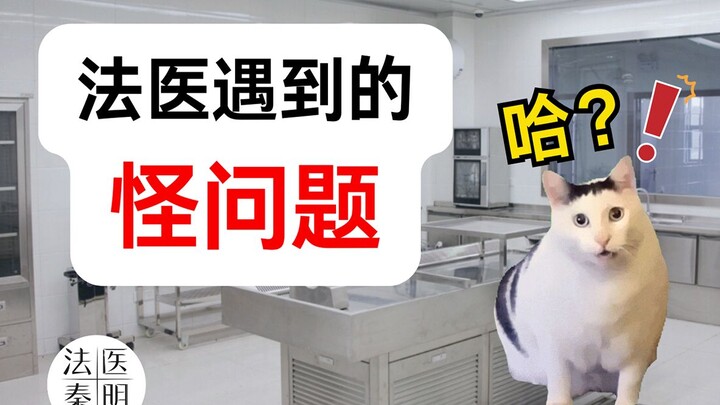 Cat Meme Forensics Q&A | Are Forensic Scientists Scared of Ghosts?