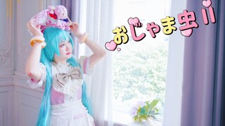 【小槐花】以后还要继续喜欢你❤️初音未来15周年作♥麻烦鬼II