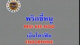 พริกขี้หนู (Prig Kee Noo) - เอ็นโดรฟิน (Endorphine)