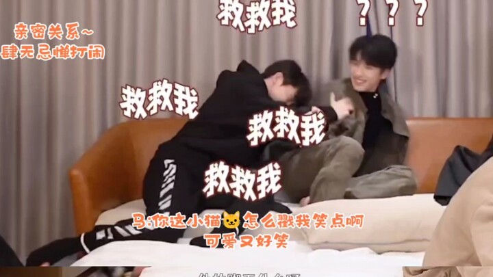 Ma Ge is so carefree in front of Yan Xiaomao~ The squad leader’s cat is getting more and more lively