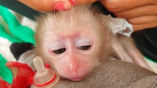 Relax & Refreshing!! Tiny adorable Luca is so joyful while Mom gently massage him after waking up