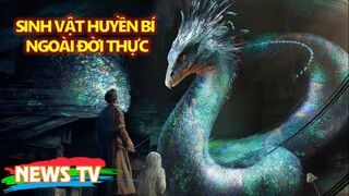 Giải mã những “sinh vật huyền bí” ngoài đời thực