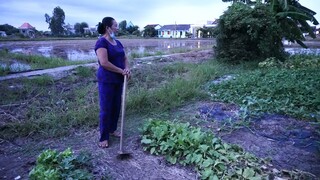 Trời chiều hơi khó coi (tặng bà con xa quê) Nam Việt
