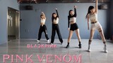 全网最快！BLACKPINK x PINK VENOM 连夜翻跳高质量全曲练习室 【SKD王牌飞行员】