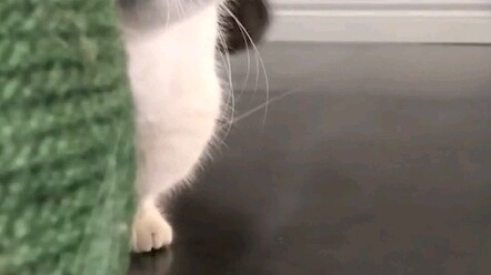 Pemburu yang sukses harus belajar menyembunyikan dirinya terlebih dahulu.