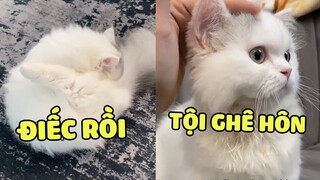 Cứ tưởng mèo bị điếc, hoá ra hông phải 🤣. | Pets TV