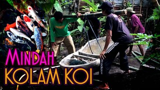 KOLAM KOI DIPINDAH SECARA UTUH