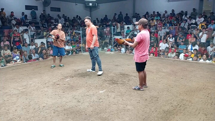 Black 9 months old win