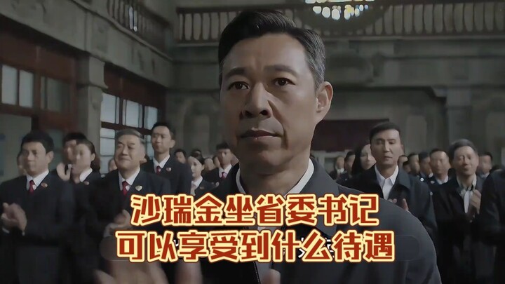 What kind of perks does Sha Ruijin enjoy as the provincial Party secretary, and how many times highe