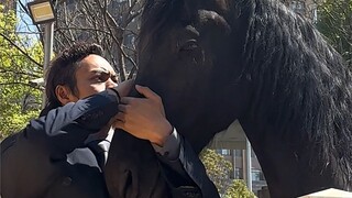 待到秋来九月八马踏东京赏樱花！