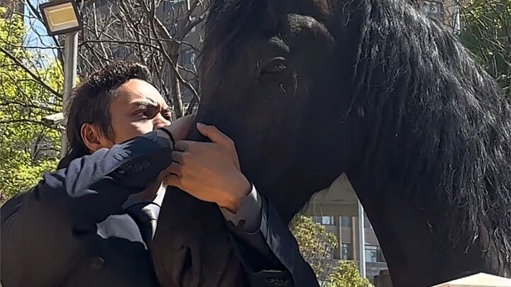 待到秋来九月八马踏东京赏樱花！