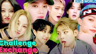 سونغ يوتشي + هي سو يون + لي تاي يونغ + لي لونغ فو! ملخص تحديات البرنامج الجديد من YIN YIN!