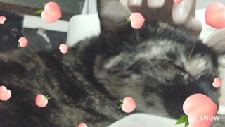 Sleep sleep