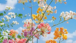 เจ้าหนูจอมยุทธ์