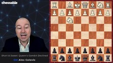 Short & Sweet- Colovic's Queen's Gambit Declined_Chess Opening