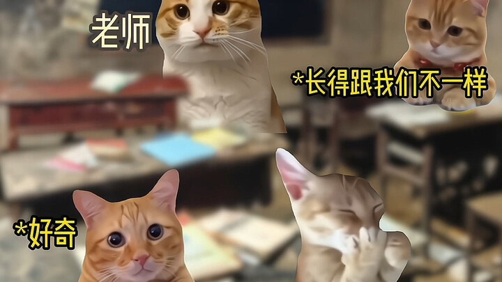 山里的洋雷锋