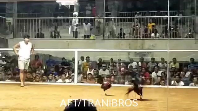 Last fight Taft eastern Samar