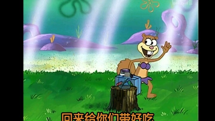保定海绵宝宝S 其二