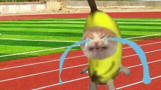 Comparison between Banana Cat and his classmates' vacation and the start of school