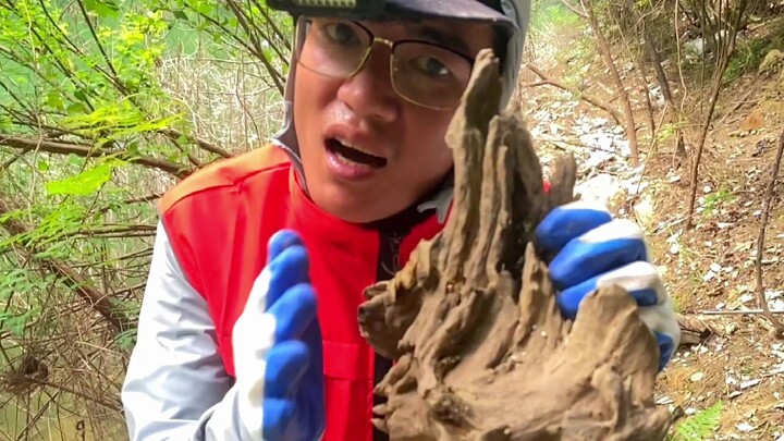 Hôm nay tôi dành thời gian cho thiên nhiên.