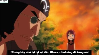 Bí Ẩn Về Cựu Đô Đốc Aokiji Nguồn Gốc Sức Mạnh Tiền Truy Nã p7