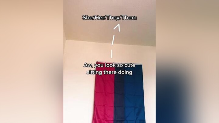 why are they even there at this point literally no one uses them 💀 fyp foryou foryoupage pronouns lgbtq