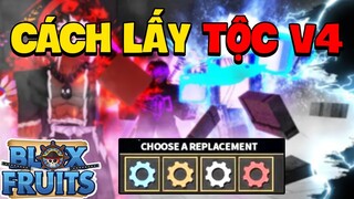 🔴 [ LIVE ] Khám Phá BÍ ẨN TỘC V4 Update 18 | Blox Fruits