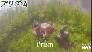 Prism (2022) ep 2 eng sub 720p