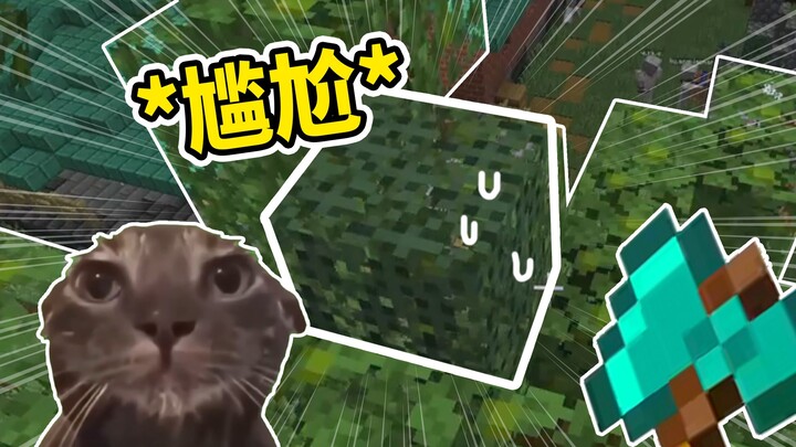【MC Hide-and-Seek Funny Highlight 2】Oh no! I’m about to be treated like a toy!!!